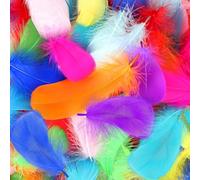 Mbsomnus 600 Pezzi Piume Colorate 5-12 cm Piume Decorative per Lavoretti DIY Artigianato Costumi Cappelli Orecchini Sogni Catturati Festival Matrimonio Compleanno Decorazioni