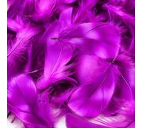 Mbsomnus 600 Pezzi Piume Fucsia 5-12 cm Piume Decorative per Lavoretti DIY Artigianato Costumi Cappelli Orecchini Sogni Matrimonio Catturati Festival Compleanno Decorazioni