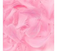 Mbsomnus 600 Pezzi Piume Rosa 5-12 cm Piume Decorative per Lavoretti DIY Artigianato Costumi Cappelli Orecchini Sogni Catturati Matrimonio Festival Compleanno Decorazioni
