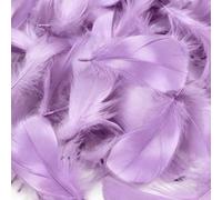 Mbsomnus 600 Pezzi Piume Viola Chiaro 5-12 cm Piume Decorative per Lavoretti DIY Artigianato Costumi Cappelli Orecchini Sogni Matrimonio Catturati Festival Compleanno Decorazioni