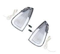 Mbxpxe Indicatori Di Direzione Paraurti Anteriore Indicatore Laterale LED Indicatori Direzione Luci Diurne Per Dodge Per Charger 2006 2007 2008 2009 2010 Lampada di Segnalazione(Chrome Silver)