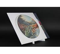 MC DAISON 10 pezzi KIT COMPLETO Copertina Busta Cartoncino BIANCO per Dischi Vinile LP 33 Giri 12" Maxi Single Colorati Picture Disc + Busta Interna trasparente (diam. 30 cm)