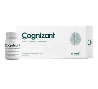 COGNIZANT 10FL.