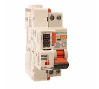 MCB Interruttore Magnetotermico Con Riarmo Automatico, Curva C 1P+N 2M 6000A C20