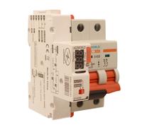 MCB Interruttore Magnetotermico Con Riarmo Automatico, Curva D 2P 3M 10000A AC 4
