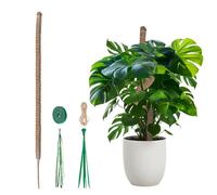 Mcbazel Supporto per Monstera in Muschio per Piante, 120 cm Bastone di Cocco Flessibile Versione Audace per Piante Rampicanti Grandi, Supporto in Muschio Fai-da-te con Accessori per Piante da Interno