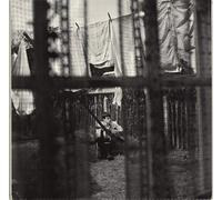 Mccartney,Paul - Chaos and Creation in the Back