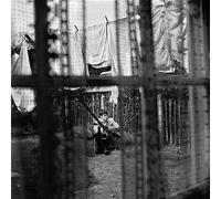 Paul McCartney Chaos and Creation in the Backyard (Vinyl LP) 12" Album