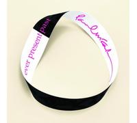 Mccartney, Paul - Ever Present Past