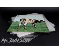 McDAISON - 100 BUSTE LP POLIPROPILENE trasparenti lucide DISCHI vinile 33g 90my