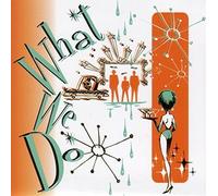 Mcgill/Manring/Stevens - What We Do (2 CD)
