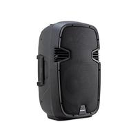 McGrey P212 MA Cassa Attiva - FM/USB/SD/Bluetooth® MP3-Player - 120 W RMS / 600 W Peak - Sistema a 2 vie con woofer da 12" e tweeter da 1" - Custodia in plastica ABS - Nero