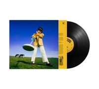 MCKENNA - WHAT HAPPENED TO THE BEACH - Vinyl Record - D2z