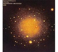 Mclaughlin*John - Between Nothingness & Eternity