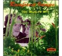 Mclean,Priscilla & Barton - Rainforest Images
