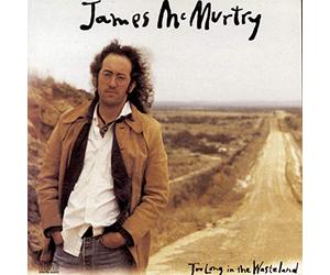 Mcmurtry, James - Too Long in the Wasteland