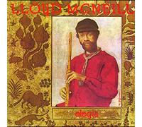 Mcneill, Lloyd - Soul Jazz Records Presents Lloyd Mcneill: Elegia