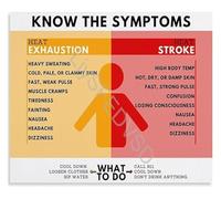 MCQWOMFQAK First Aid Training Poster Heat Exhaustion Vs Heat Stroke Symptoms Visual Identification Guide Canvas for Industrial Use(Framed,16x24inch(40x60cm))
