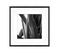 MCS Master & Co. Foundry - Cornice da parete in metallo, 30,5 x 30,5 cm, con passepartout, fino a 20,3 x 20,3 cm, colore: Nero