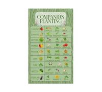 MDBJTCYZN Educational Garden Companion Planting Chart Vegetable Herb Pairings Canvas Poster Wall-Art for Shed Home School(Framed,16x24inch(40x60cm))