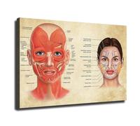 MDBJTCYZN The Human Face Canvas Art - Biology Inspired Abstract Print, Conversation Starter Wall Decor for Students, Artists, and Healthcare Professionals(Unframed,08x12inch(20x30cm))