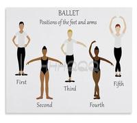 MDBJTCYZN Training Guide Metal Tin Sign Ballet Positions And Basic Movements Educational Artwork For Dance Lovers Home Decor 8 X 12 inch