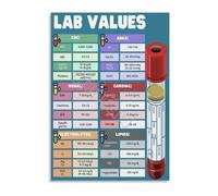 MDBJTCYZN Values Reference Guide Poster for Nursing Students and Professionals Study Aid(Framed,12x18inch(30x45cm))