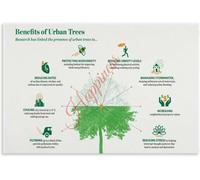 MDBJTCYZN Why Trees Matter Green Infrastructure Educational Chart | Learn ecological and community advantages of urban greenery(Unframed,08x12inch(20x30cm))