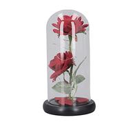 MDKSOUITY Luce decorativa in vetro a forma di rosa a LED, lampada a LED floreale elettrica con bagliore bianco caldo, 2 coperture in vetro a forma di rosa per regalo di compleanno o per la F