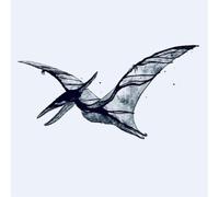 Me Rex Pterodactyl/Plesiosaur (Vinyl LP) 12" EP