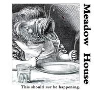 Meadow House - This Should Not Be Happening