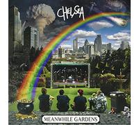 meanwhile gardens (blue vinyl)