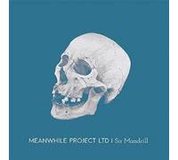 Meanwhile Project Ltd - Sir Mandrill