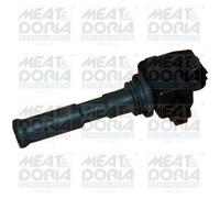 MEAT & DORIA 10334 Bobina d'accensione per FIAT,LANCIA