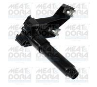 Ugello lavavetri faro anteriore Dx 209235 MEAT & DORIA
