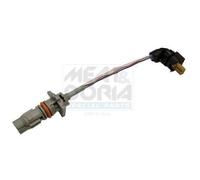 MEAT & DORIA 667262 Resistenza, Ventilatore abitacolo per FIAT,IVECO