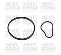 MEAT & DORIA 91252 Guarnizione, Pompa depressione per CITROËN,FIAT,FORD,LAND ROV
