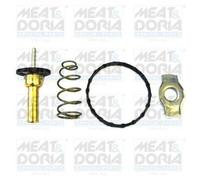 Meat&Doria 92784 Termostato, refrigerante, Smart Fortwo (451) 1.0