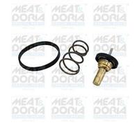 MEAT & DORIA 92952 Termostato