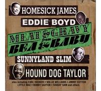 Meat & Gravy from Bea & Baby - Meat & Gravy from Bea & Baby