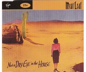 Meat Loaf - Not a Dry Eye in the House