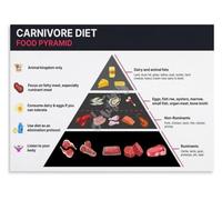 Meat Only Diet Poster Carnivore Nutrition Chart