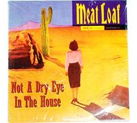 Meatloaf - Not a Dry Eye in the House / I'd Lie for You