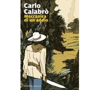 Meccanica di un addio