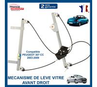 Meccanismo Alzacristallo Anteriore Destro Passeggero Pinze per 307 CC Cabriolet