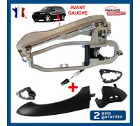 Telaio + Maniglia Interna Anteriore Sinistro per BMW X5 (E53) 1999-2006