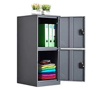 MECOLOR Armadietto verticale singolo con lucchetto a 2 o 3 scomparti per dipendenti, casa, ufficio, scuola, bambini (bianco pieno, P2V) (grigio, P2V)