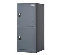 MECOLOR Piccolo Armadietto Verticale con Lucchetto, Armadietto per Casa e Palestra, Armadio per Ufficio, a 2 o 3 Livelli (Grigio, P2V)