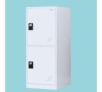 MECOLOR Piccolo armadietto verticale con lucchetto, piccolo armadietto per casa, armadietto per palestra, armadio per ufficio, armadietto a 2 o 3 livelli (bianco pieno, P2V)