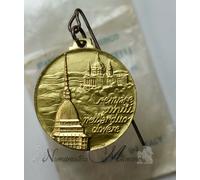 Medaglia associazione nazionale alpini adunata 1977 Torino Esercito Italiano